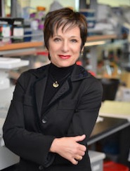 Sheila Collins PhD