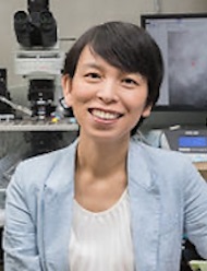 Yao-Ying Ma MD PhD