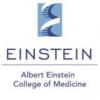 Albert Einstein College of Medicine